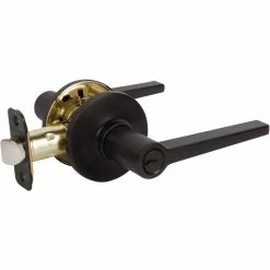 DELANEY HARDWARE Tulina Contemporary Style Black Straight Entry Door Handle