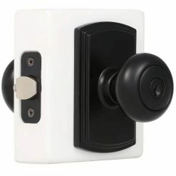 DELANEY HARDWARE Italian Collection Santo Black Keyed Entry Door Knob